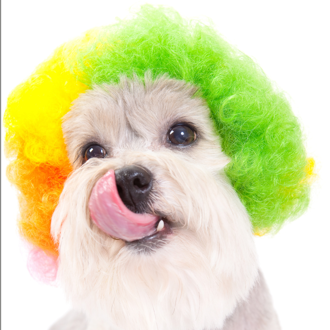 HairUncut | shutterstock 304593281